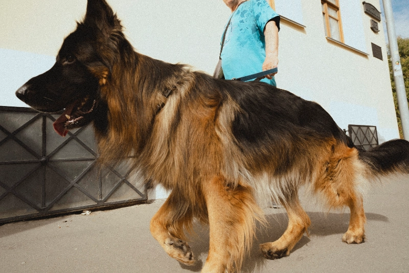 Gosha Bergal street photography master class at ArtPlay Moscow